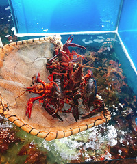 һ���ļ�������Ϻ