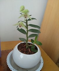 91��GG175ϲ����ʳ���Σ�Ѱ�������