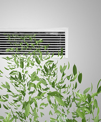 һ�����������ӡ���������ҪС����è��