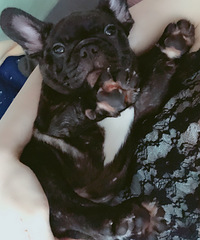 �Ҽҷ����ܵ�Ϊʲô��ǧ��û���ʣ�