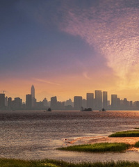 台州最大的花鸟市场在哪?想养龙鱼和其他热带鱼