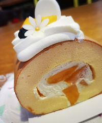 ��ɳ��ڼ��������������޵ģ�������Ҳ����