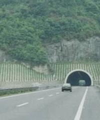 è��������ΪʲôƵ���¹��أ�è����������ʲô˵��