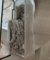 ʯͷ������t60����С�ռ䶼����ȥ���ɲ���©ɨ