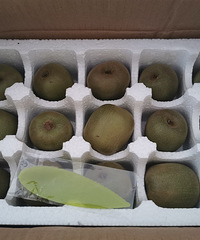 ����⨺��ң����춼����ζ