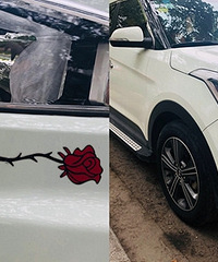 ��������е���˼����õ�廨��