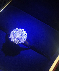 ����������ľ�ѡ���ƣ�������˾���