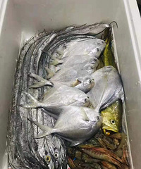 19¥С������ʼ��������ˣ����ϼ��������