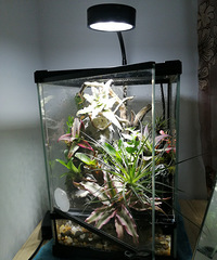 �칫���ϵ�����΢��