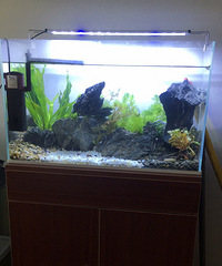 �������ϸո���ɣ�ˮ���