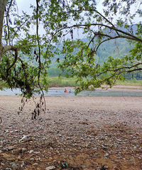 ������԰�����Դ��һ�Σ�Ӧ�����ɾ��̵��ľ�������