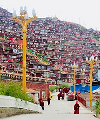 ������һ���Ҵ����У��ȷ�Ҳ����