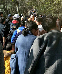 ����������֪���Ļ���Ϊ�Ǳ�������