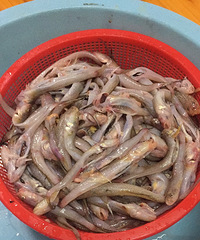 91��GG178����50w+��ϲ��������Ů��