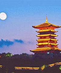 ���̵㡿̨�ݸ�����������µص�