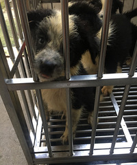 ����С������Ǯ����