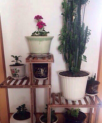 ʵľ����17Ԫ