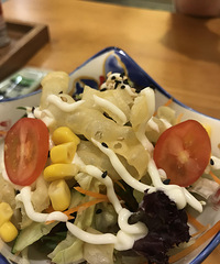 �ײ�19.9һ�ݣ���ĺܻ�����