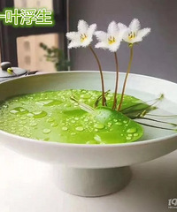 ��ֵ����һҶ��ϲ������ô(?��?)