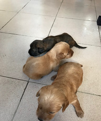 ̰������֢