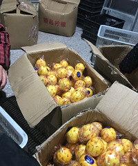 ����2Ԫһ��