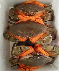 ���۸��᡿̨����Ϊʲô���ܹ�ɶ�ڣ���ϲ������з��