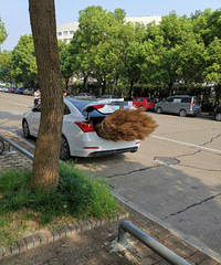 ���������ġ���β�͵�����