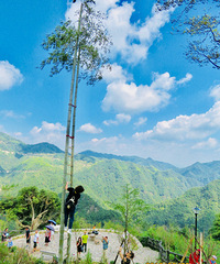 ̽��wanghong���´壬������