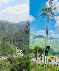 探访悬崖村,登天梯