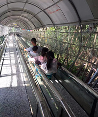 �˼�С����һ��һ�ٶ��׸ߵĲ������ţ�