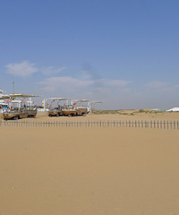 ���������ġ���������ɳĮ���˳�������ȥ������