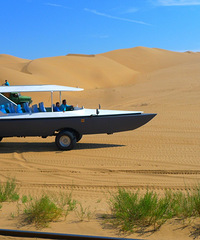 ���������ġ������ɳĮ���˳�