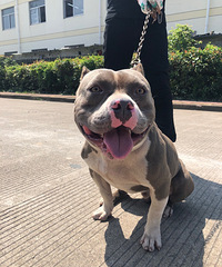 �ͼۣ������������Ȯ