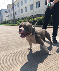 �ͼۣ������������Ȯ