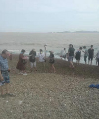 ������¶Ӫɳ̲����