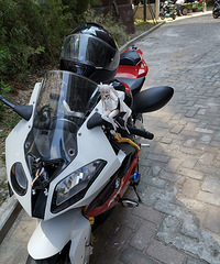 ��������Ůսʿ������֪��������ɶ����