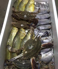 ���������������ʴ���������������ʣ�����ֱ����