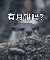 ����ڣ�������Բ����̨�ݺ�������Ѱ����ؼҡ���