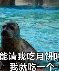 ����ڣ�������Բ����̨�ݺ�������Ѱ����ؼҡ���