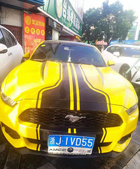 【汽车街拍】真正的野马,怎么它的车牌有些不一样?