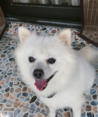 �����ܵ������ˡ�