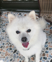 �����ܵ������ˡ�