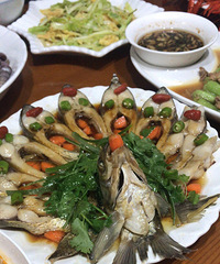 95��GG�������ش����ͣ��������չ���