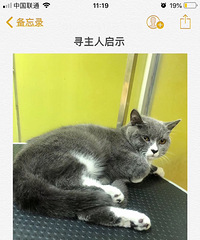 ˭��è����