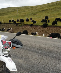 ����318����������ʮ������ǰ��̤���˳ɶ���������·��