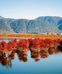 ���������������û����Ϳ�