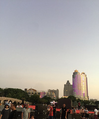 一块钱的爆米花不够卖,市民广场的鸽子撑得肚歪