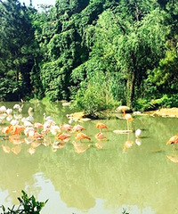 ��һ�ο�����Ļ������е��˷�