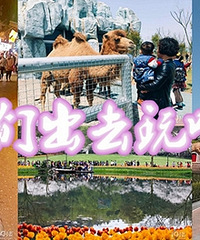 �����Ҷ��ڵȷż٣��ƻ�ȥ����