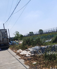 你们的咸菜,正在路上